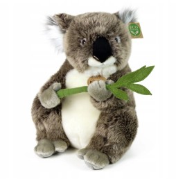 Miś koala maskotka 30 cm Eco Friendly