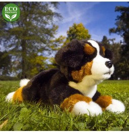 Mascota ciobănesc bernese 25 cm