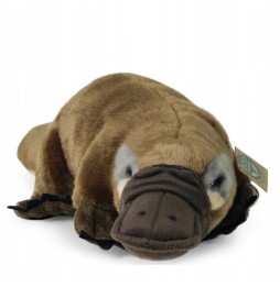 Realistic Platypus Plush Toy 43 cm