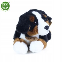 Mascota ciobănesc bernese 25 cm