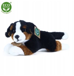 Mascota ciobănesc bernese 25 cm