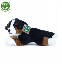 Mascota ciobănesc bernese 25 cm