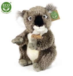 Maskotka koala 22cm eko miś Rappa