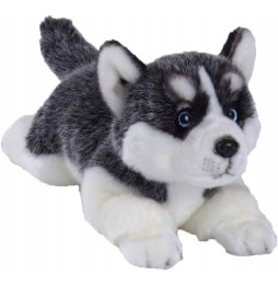 Siberian Husky Plush Toy for Kids