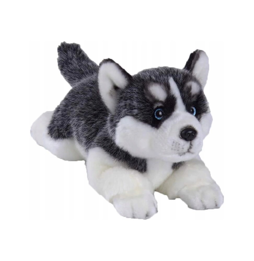 Siberian Husky Plush Toy for Kids