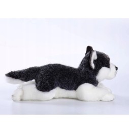 Siberian Husky Plush Toy for Kids