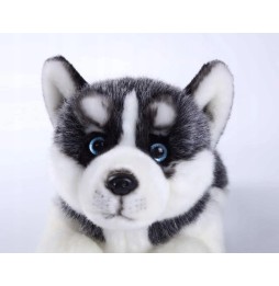 Siberian Husky Plush Toy for Kids