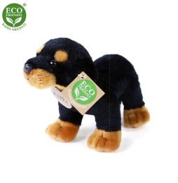 Rottweiler Plus 22 cm Eco Friendly