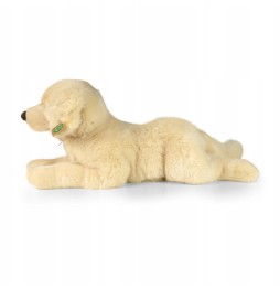 Rappa Pluszowy Golden Retriever 60 cm