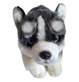 Siberian Husky Plush Toy for Kids