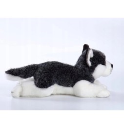 Siberian Husky Plush Toy for Kids