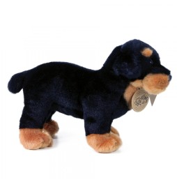 Rottweiler Plus 22 cm Eco Friendly