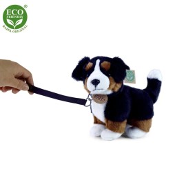 Eco Friendly Saint Bernard Puppy Plush