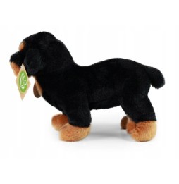 Rottweiler Plus 22 cm Eco Friendly