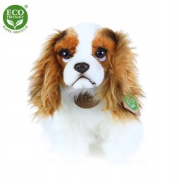 Cavalier King Charles Spaniel Plush Toy