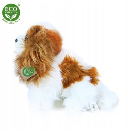 Cavalier King Charles Spaniel Plush Toy