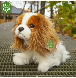 Cavalier King Charles Spaniel Plush Toy