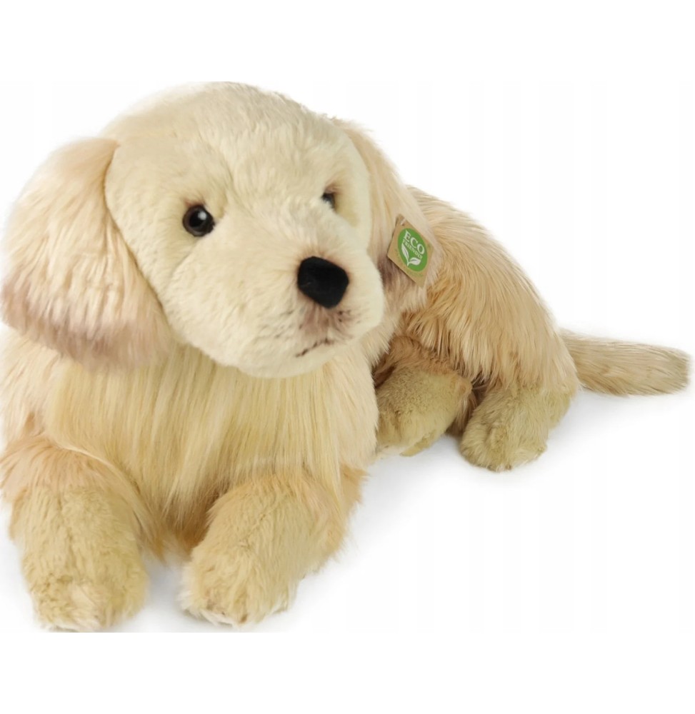 Maskotka Golden Retriever Eko 60cm