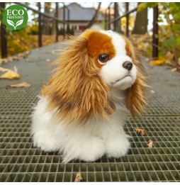 Cavalier King Charles Spaniel Plush Toy