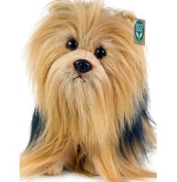 Maskotka pies Yorkshire Terrier 30 cm