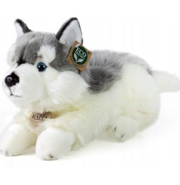 Husky Dog Plush Toy 30cm