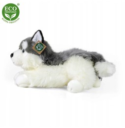 Husky Dog Plush Toy 30cm