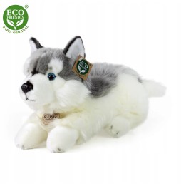 Maskotka pies husky 30cm Rappa