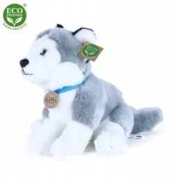 Maskotka pies husky 25 cm