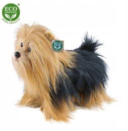 Plușă Yorkshire Terrier 30 cm