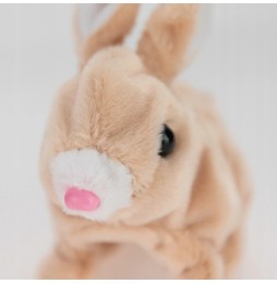 Walking Battery Rabbit for Kids