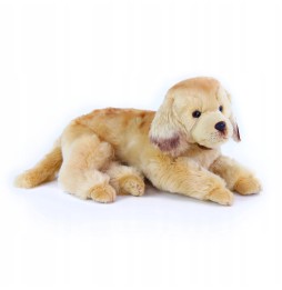 Jucărie labrador golden retriever 42cm