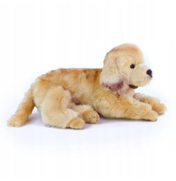 Jucărie labrador golden retriever 42cm