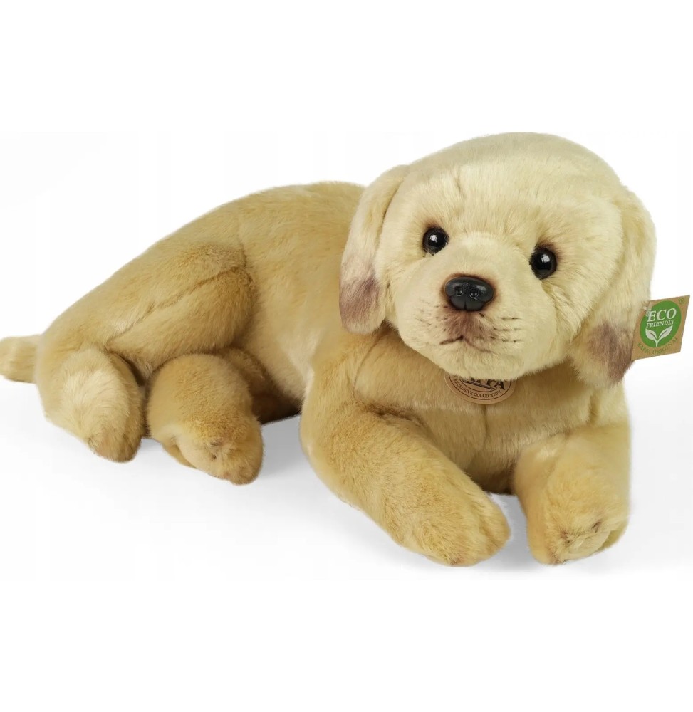 Leżący labrador maskotka 50 cm