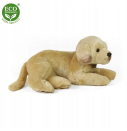 Leżący labrador maskotka 50 cm