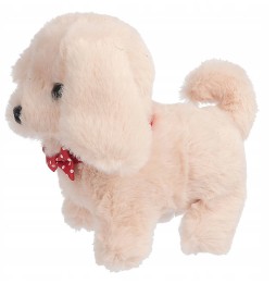 Beige Plush Puppy on a Leash