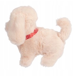 Beige Plush Puppy on a Leash