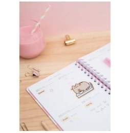 Pusheen planner 2019/2020