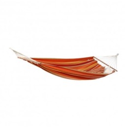 Brasilia mango - Amazonas hammock