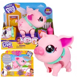 Interaktywna świnka Piggly Little Live Pets