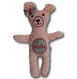 Teddy Bear with Name for Kids