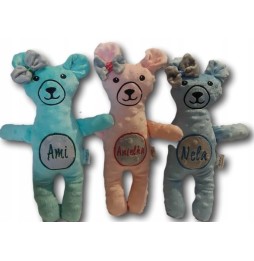 Teddy Bear with Name for Kids