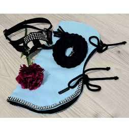 Hobby Horse A4 Halter and Blanket Blue