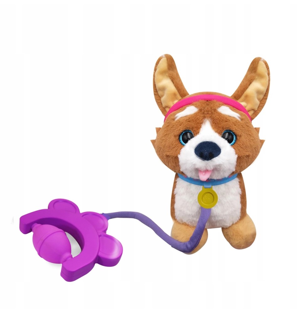 Interaktywny Piesek Corgi na Smyczy TM Toys