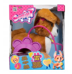 Interaktywny Piesek Corgi na Smyczy TM Toys