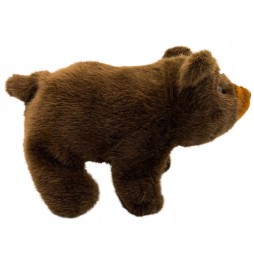 Battery Bear Toy with Sound for Kids