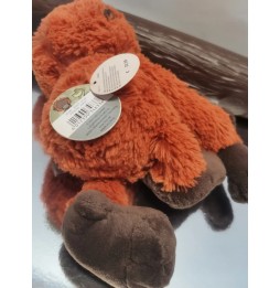 Małpka orangutan Nici Wild Friends