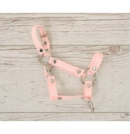 Hobby Horse A3 Halter and Lead - Dusty Pink