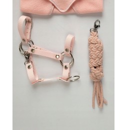 Hobby Horse A3 Halter and Lead - Dusty Pink