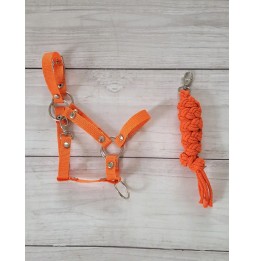 A3 Halter and Lead Rope for Hobby Horse