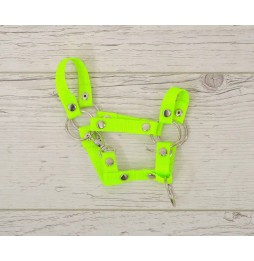 Zăbala Hobby Horse A4 - verde neon